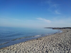 Nära stranden