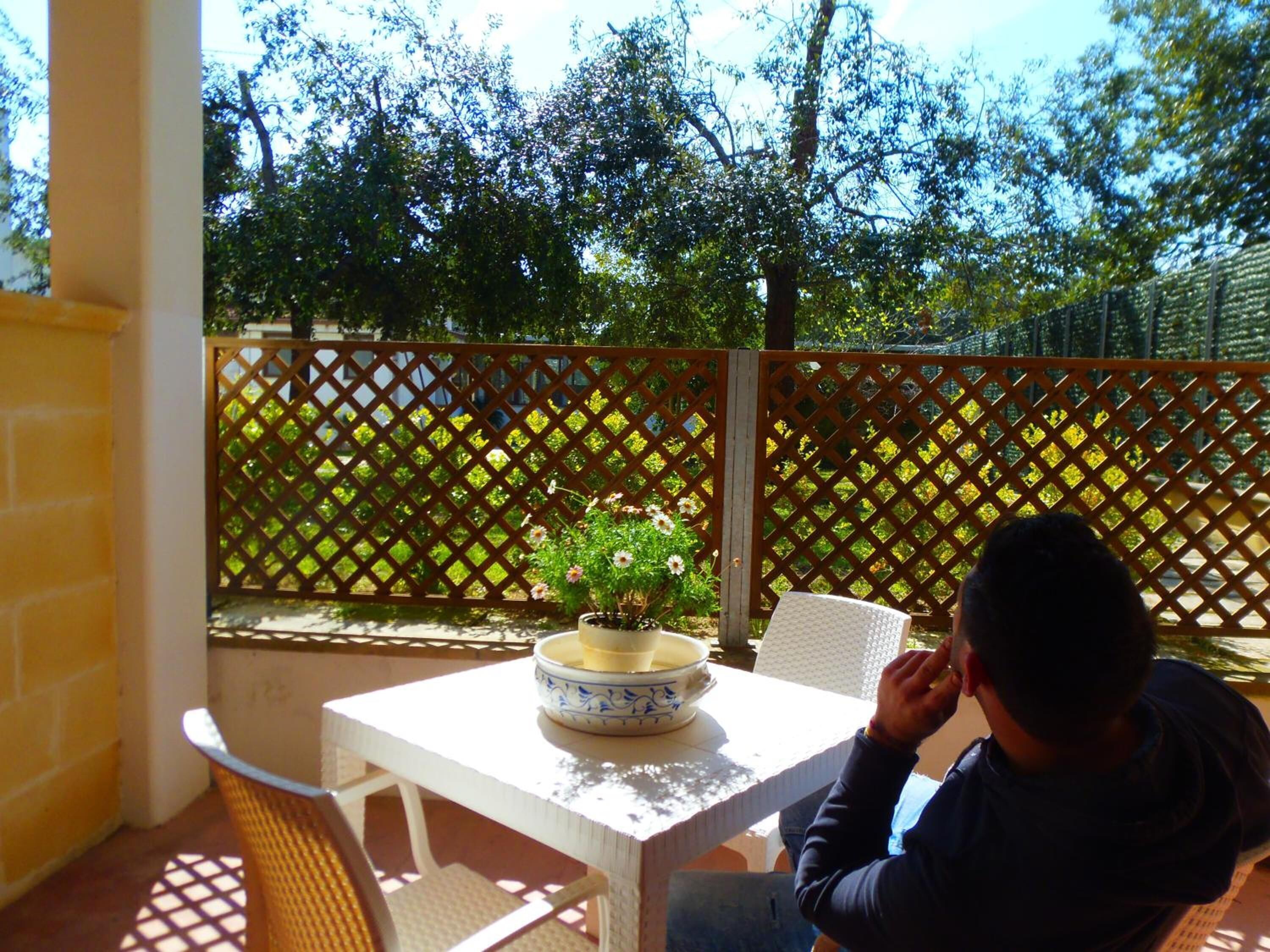 A patio area with a table and chairs, a potted plant, and a lattice fence.