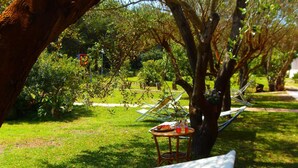 A hammock under a tree in a garden with a table and drinks. - Residence Missipezza (Otranto)