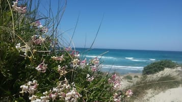 Una spiaggia nelle vicinanze