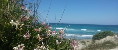 Una spiaggia nelle vicinanze