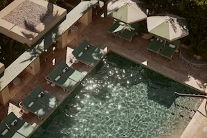 A pool area with multiple sun loungers and umbrellas, surrounded by stone flooring and greenery. - The Calile Hotel (Fortitude Valley)
