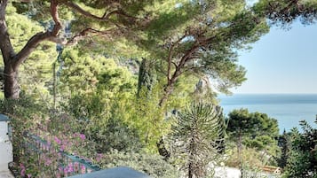 Villa, 3 Bedrooms | View from room