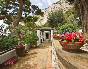 Uma passagem leva a um edifício com fachada branca e colunas, cercado por vasos com plantas e flores.