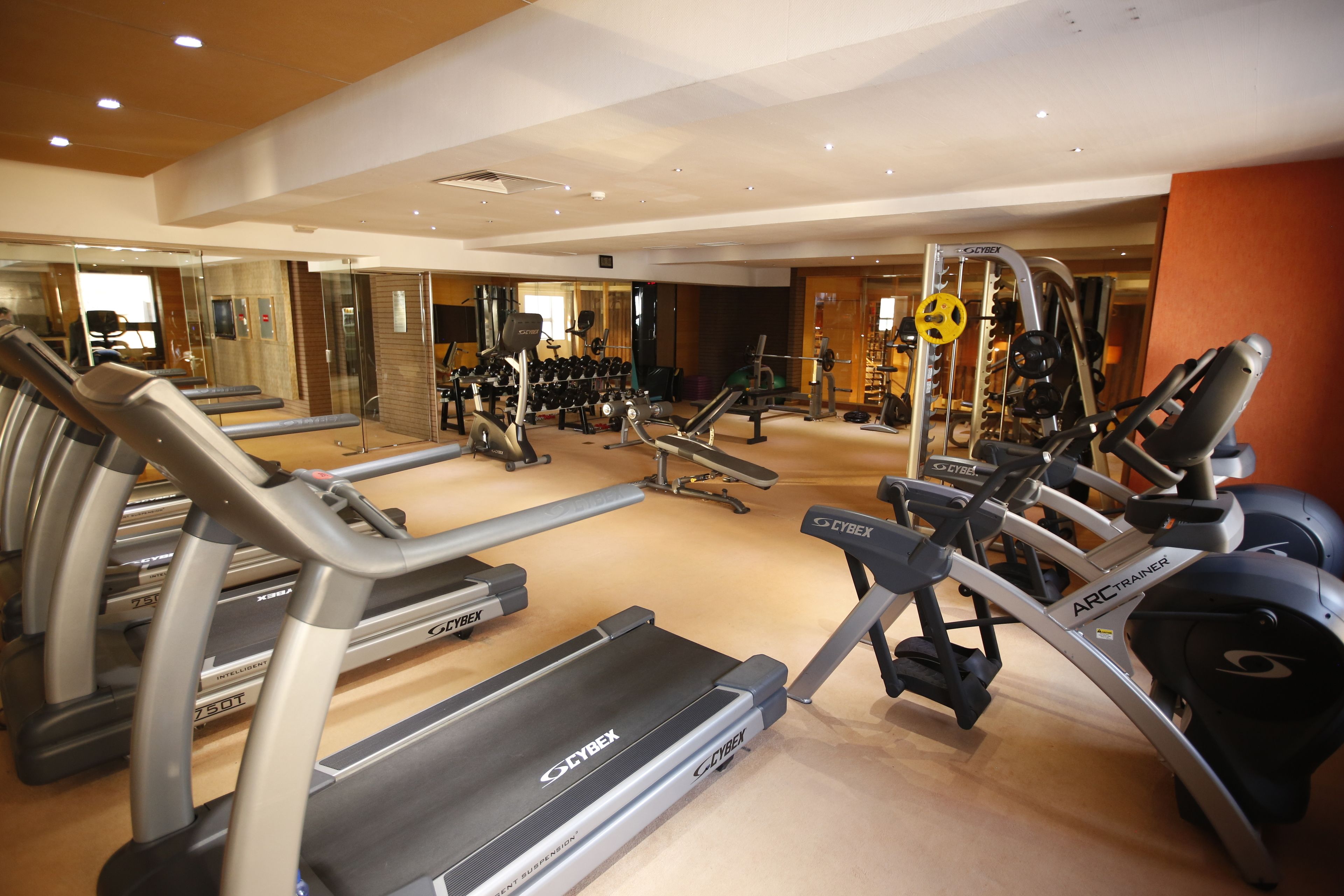 A gym with treadmills, elliptical machines, and weight equipment.