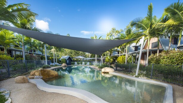 Una piscina de borde curvo, rodeada de palmeras y una zona con sombra.