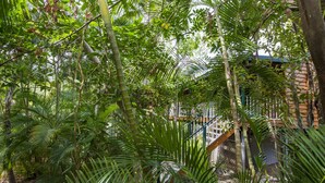 Un exuberante jardín interior con follaje denso, que incluye diversas especies de palmeras y helechos.