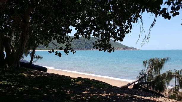 A beach with clear blue water, a sandy shore, and a tree-lined path leading to the water. - Peg's Beach House (Horseshoe Bay)