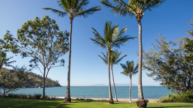 Un paysage côtier avec des palmiers et une vue dégagée sur la mer.