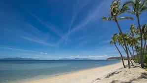 Una playa con cielos despejados, agua tranquila y palmeras.