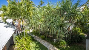 Un jardin avec des palmiers et un sentier en pierre.
