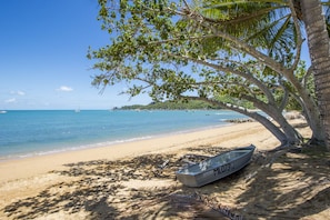 A beach with a boat named "M1073Q" under a tree, clear blue water, and boats in the distance.