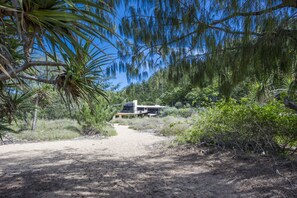 A modern house with a dirt path leading to it, surrounded by dense vegetation and trees. - The Beach House at Arthur Bay (Florence Bay)