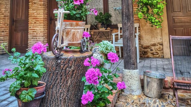 Une véranda rustique en bois, agrémentée de plantes et de fleurs en pot, d’un vieux chariot et d’une plante suspendue.