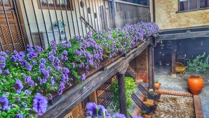 Un balcon en bois orné de fleurs violettes, un escalier en pierre et des plantes en pot.