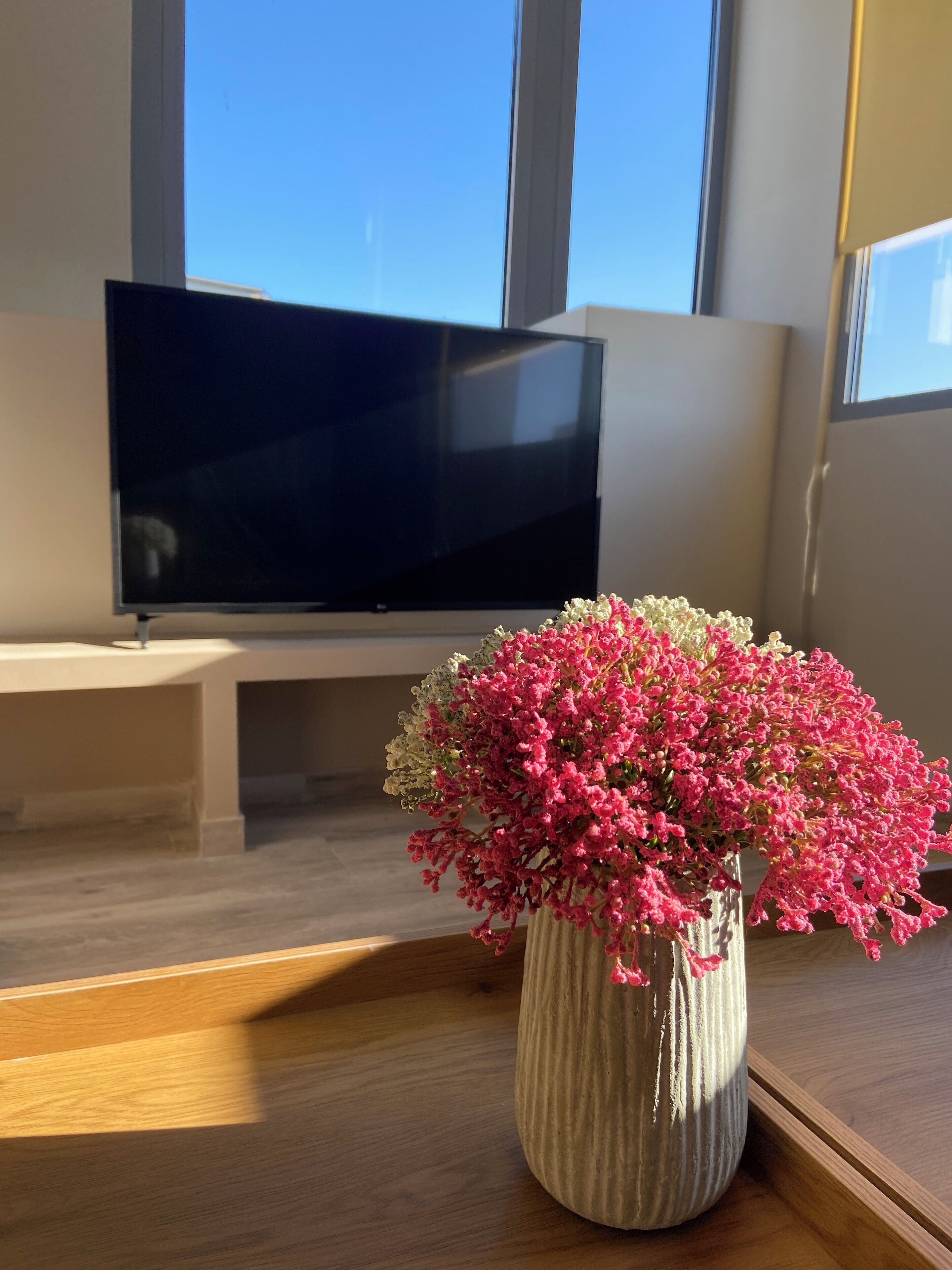 Huoneessa on jalustalla oleva taulutelevisio, puinen pöytä, jossa on vaasi täynnä vaaleanpunaisia kukkia, ja ikkuna, josta avautuu näkymä taivaalle.