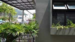 Un edificio con fachada verde, una ventana con plantas y techo de metal.