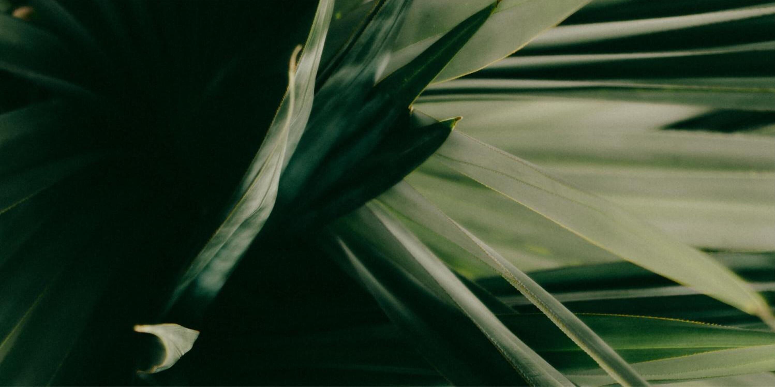 Photo - Ritsurin Boutique Hotel - โรงแรมริทสุริน บูติค