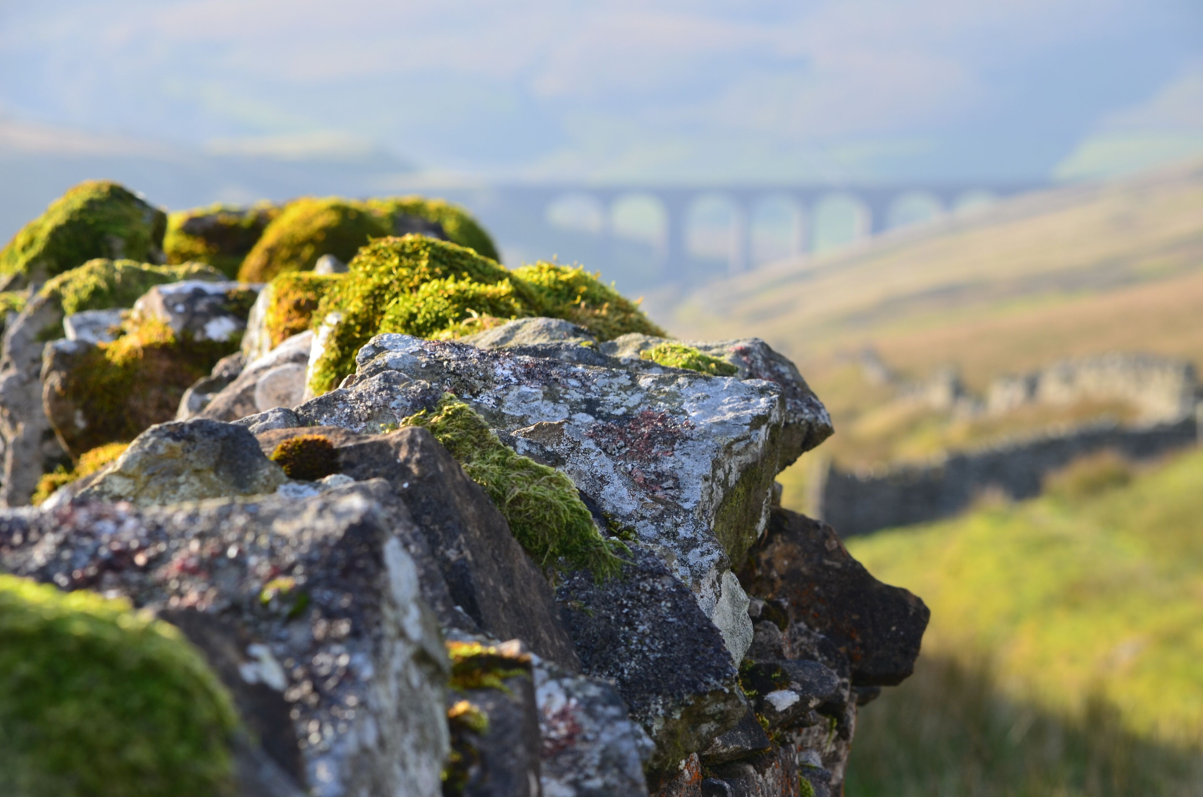 A close-up of moss-covered rocks with a bridge in the background.