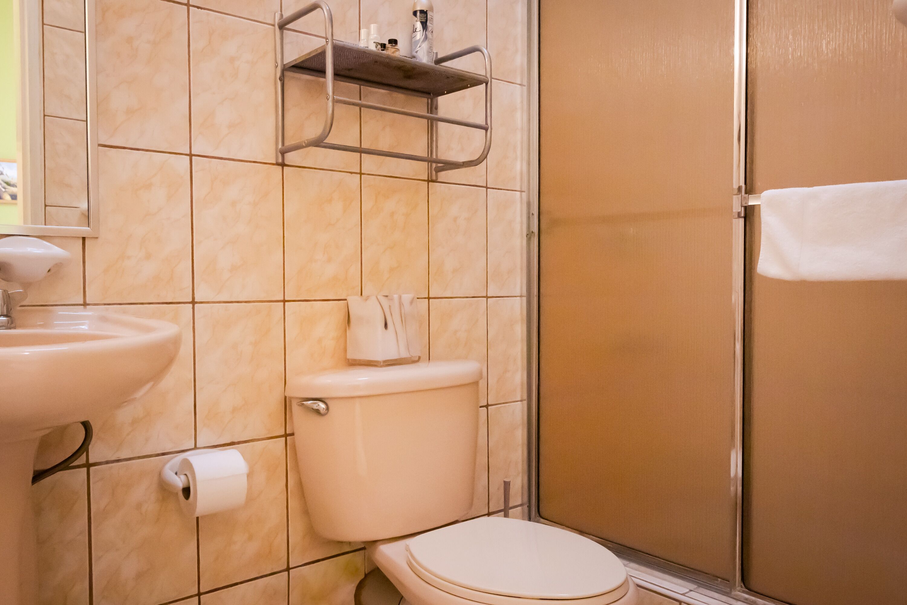 Een badkamer met toilet, wastafel en douche.