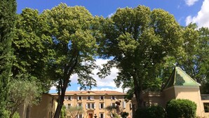 A large building with a symmetrical facade, multiple windows, and a central entrance. - Château Rieutort (Saint-Pargoire)