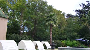 A pool area with lounge chairs and a palm tree. - Château Rieutort (Saint-Pargoire)