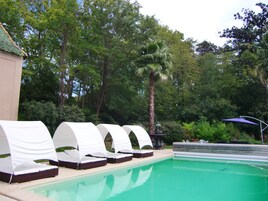 Un área de piscina con sillones de descanso y una palmera.