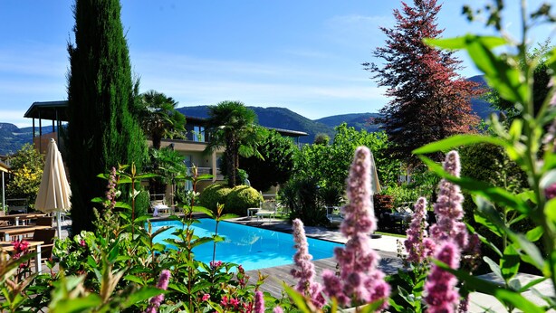 Un espace piscine offrant une vue sur les montagnes, entouré d’une végétation luxuriante et d’un grand arbre.