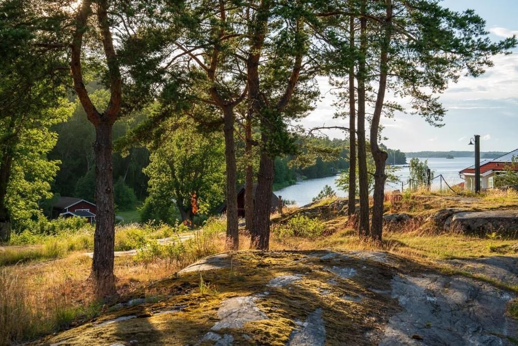A natural landscape with trees, a body of water, and a building in the background.