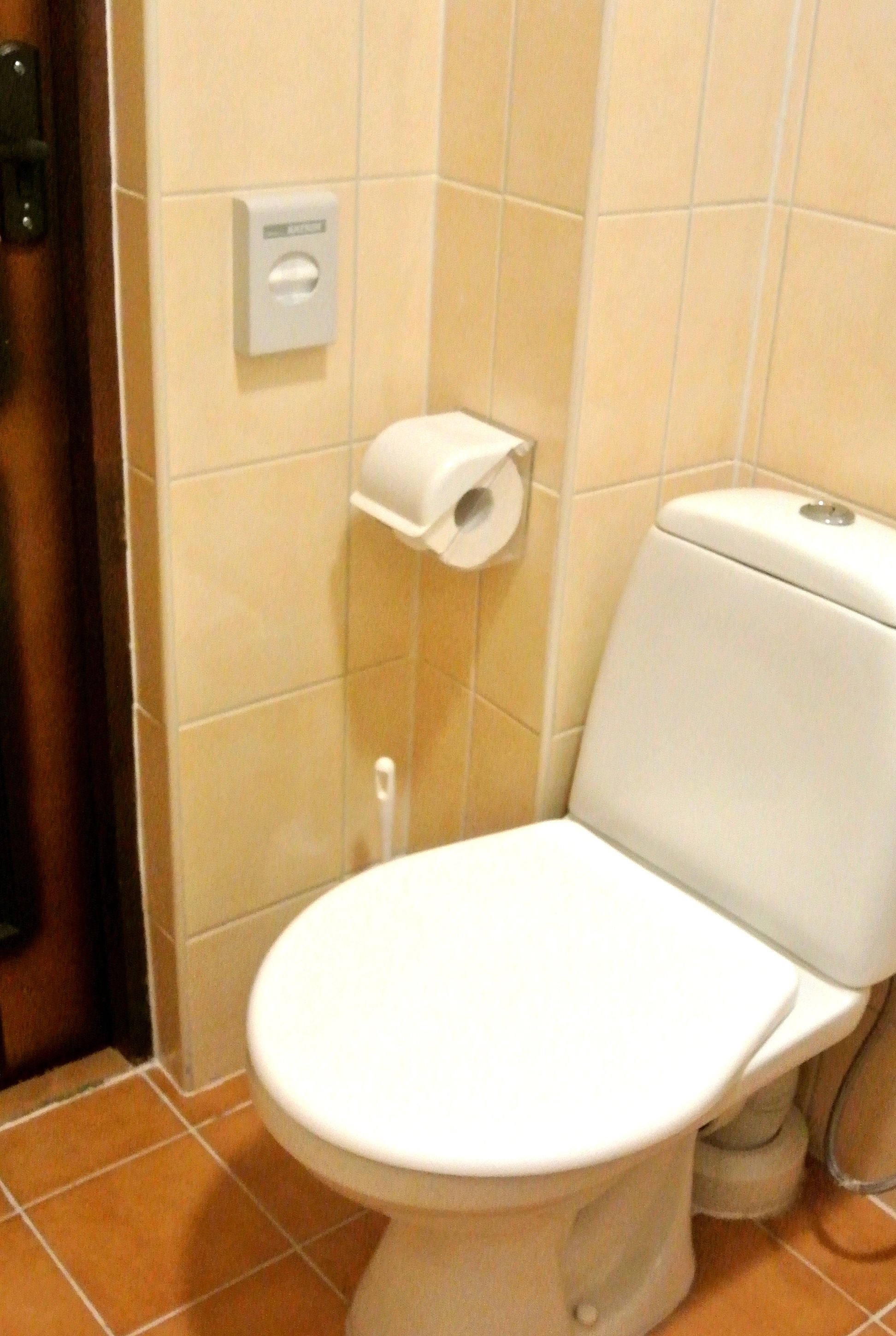 Inodoro estándar con dispensador de toallas de papel y un tirador de la cadena en la pared.