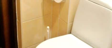 Inodoro estándar con dispensador de toallas de papel y un tirador de la cadena en la pared.