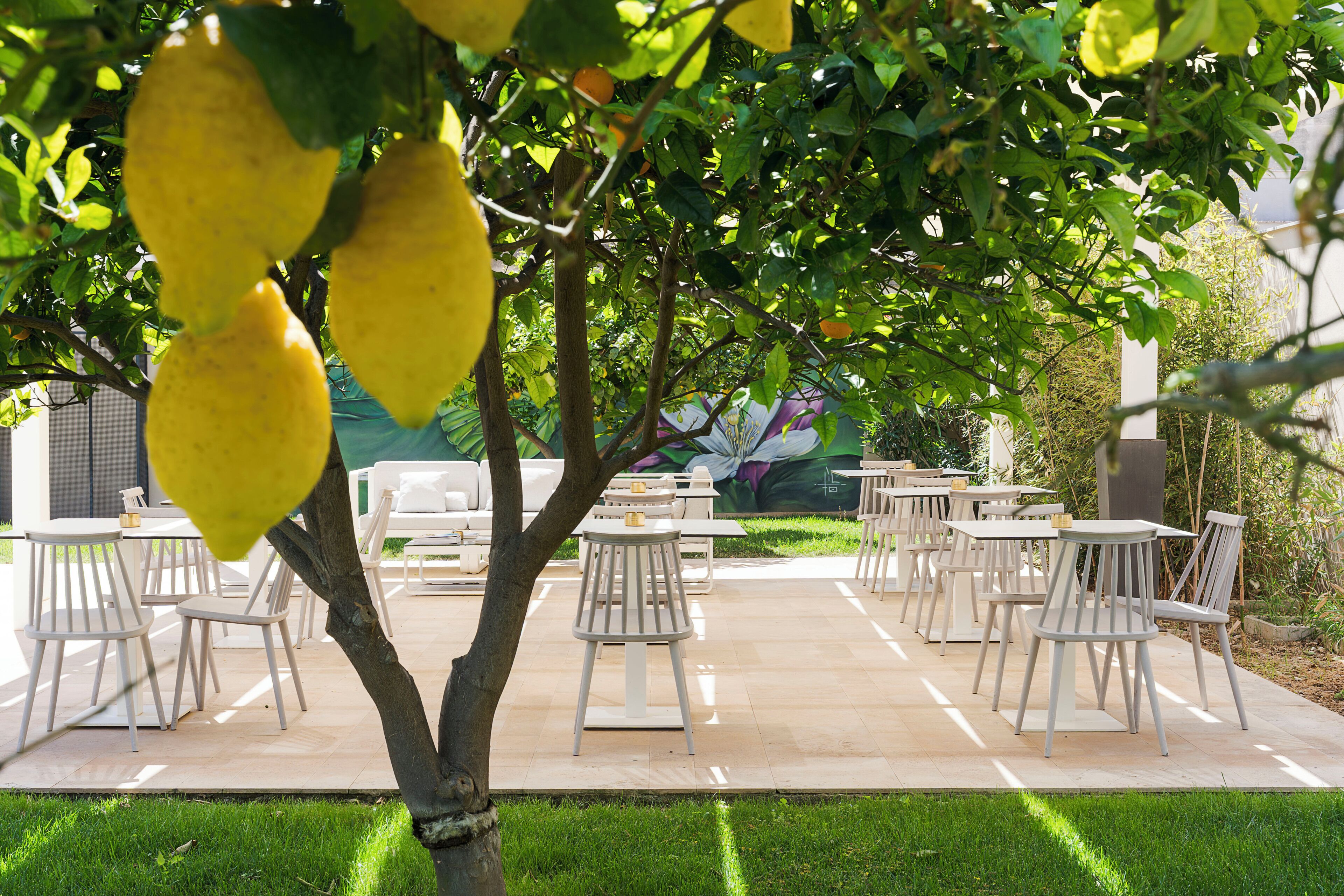 An outdoor seating area with tables and chairs, surrounded by greenery and a tree.