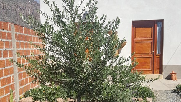 Un edificio blanco con puerta de madera, rodeado por un camino de grava y diversas plantas, incluyendo un agave.