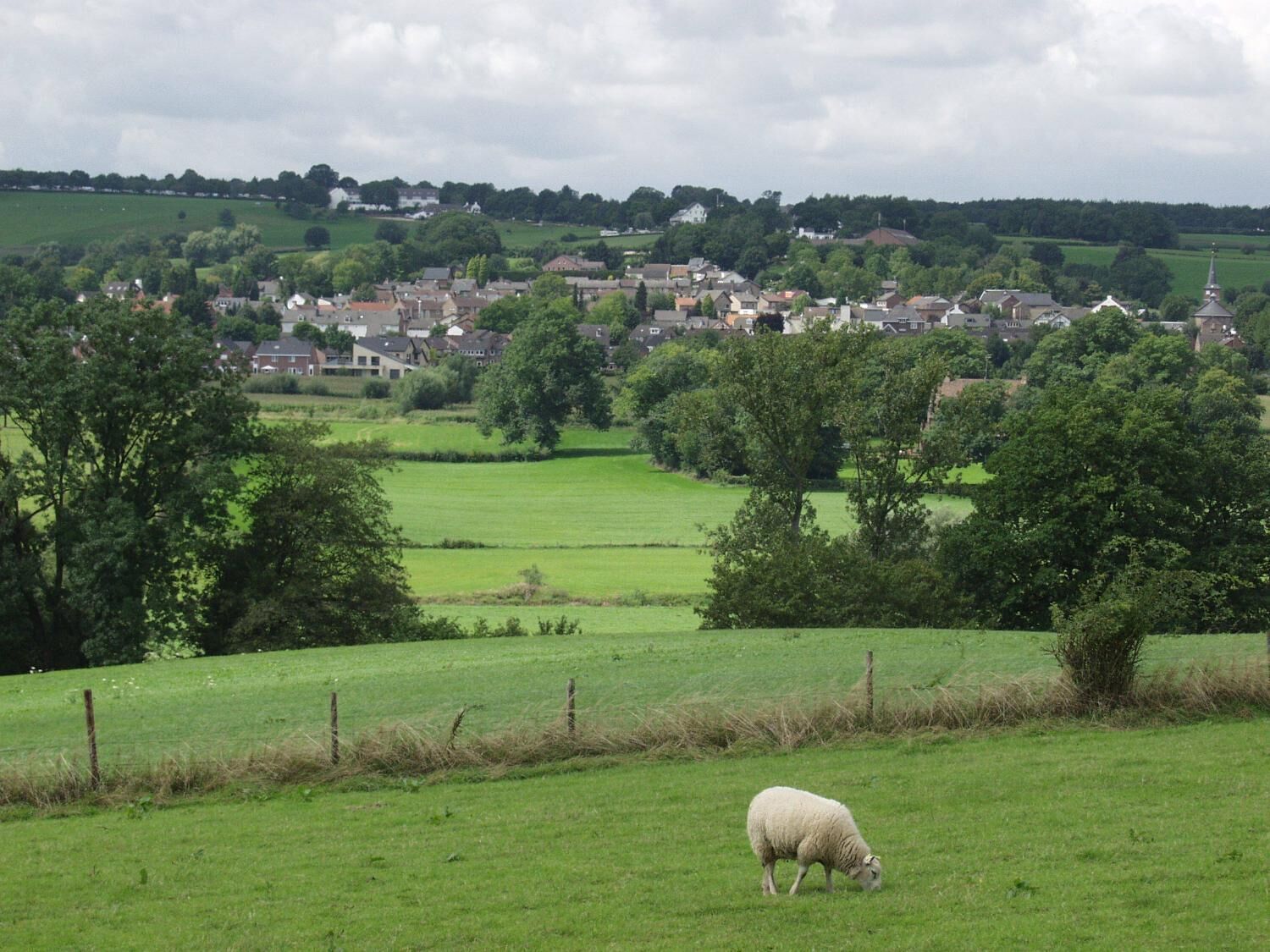 A rural landscape with a sheep grazing in a field, surrounded by trees and a distant village.