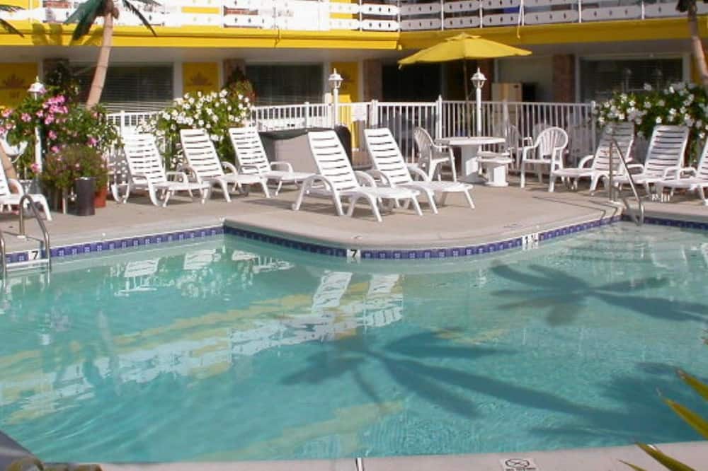 American Safari Motel