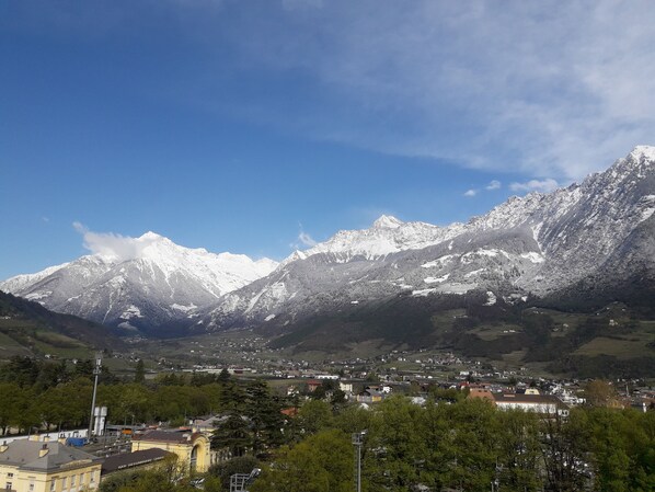 未分類的圖片,第 1 張,共 38 張,按鈕
