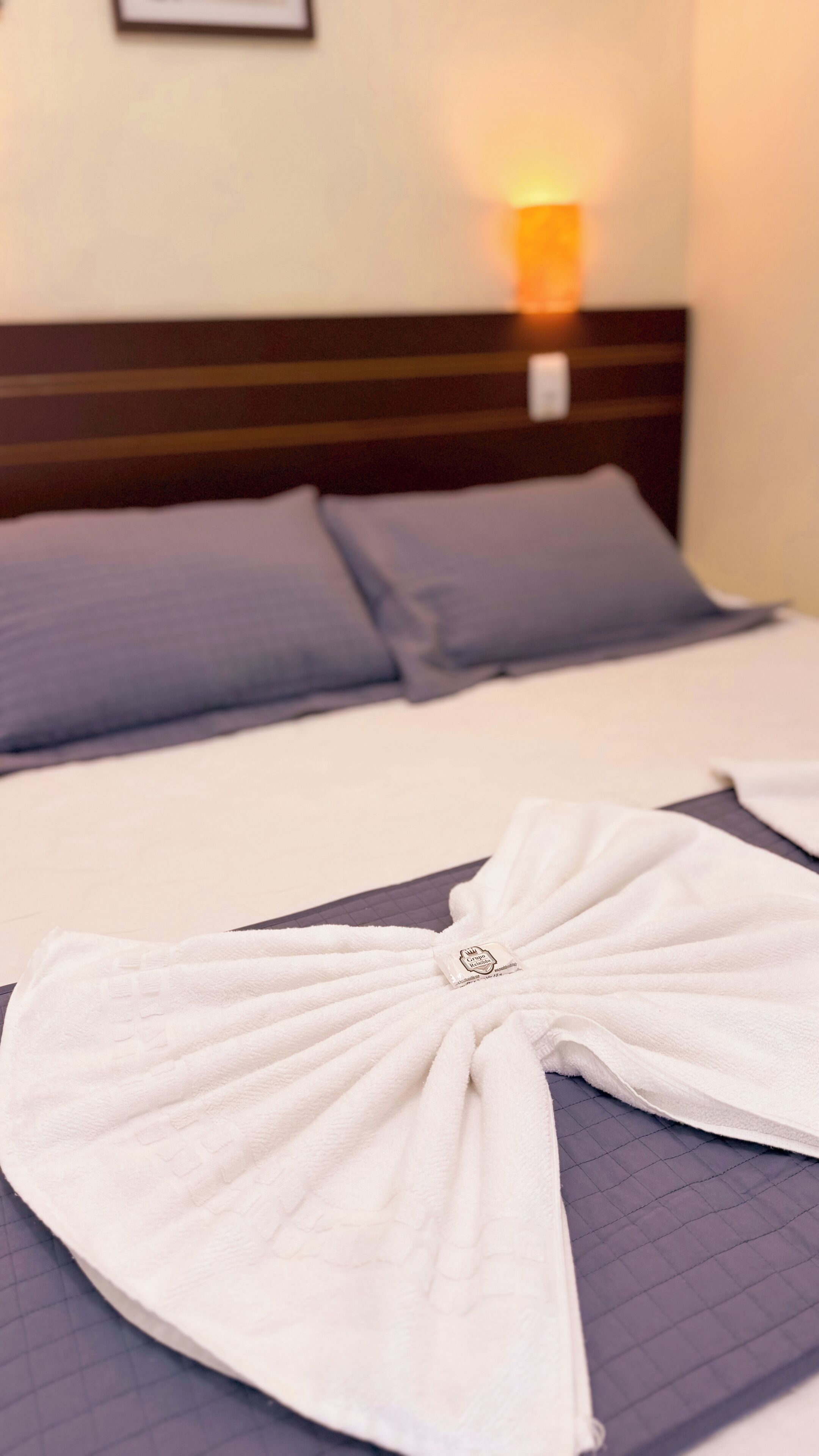 luxury double or twin room | minibar, desk, iron/ironing board, free wifi