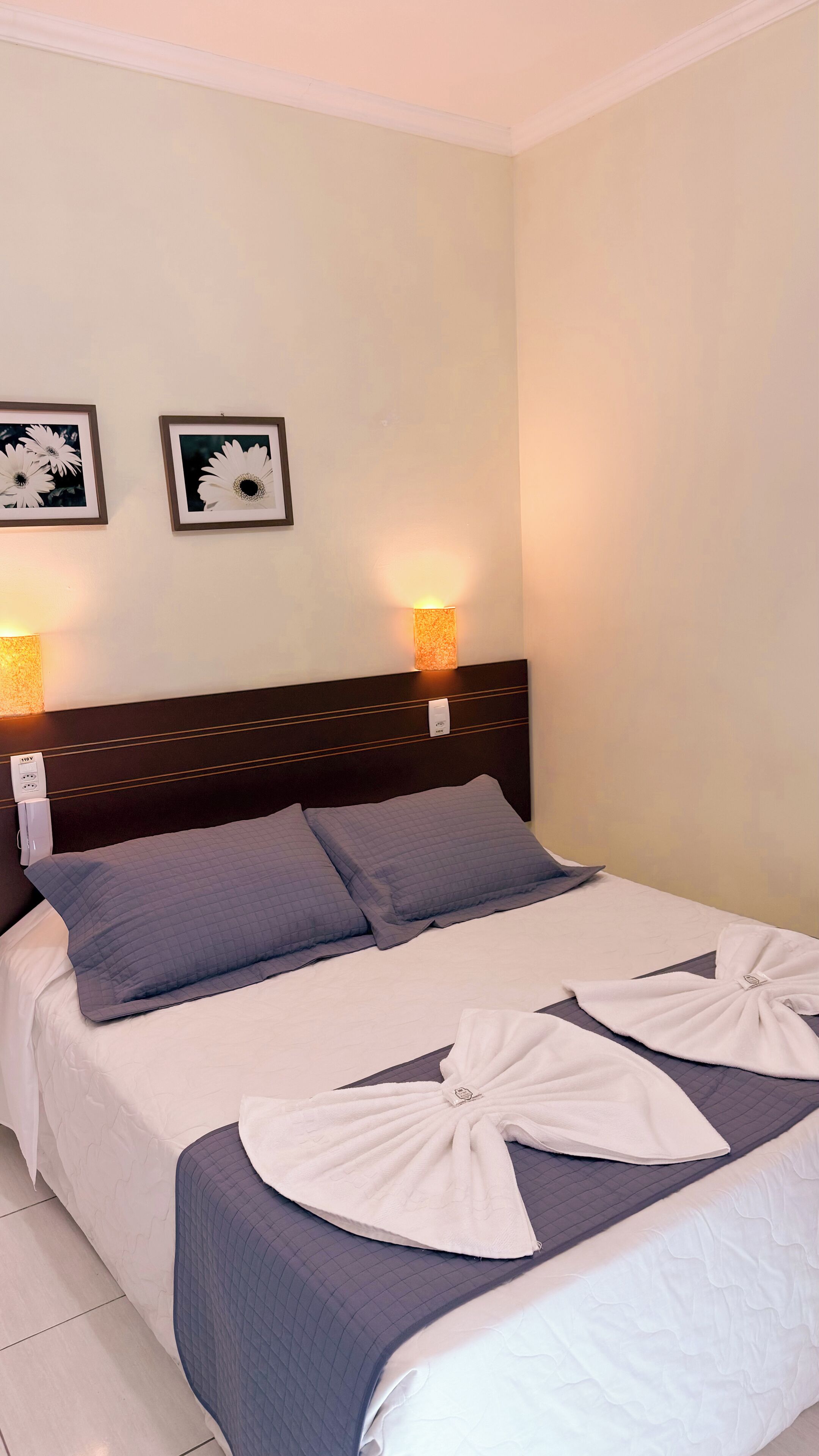 luxury double or twin room | minibar, desk, iron/ironing board, free wifi