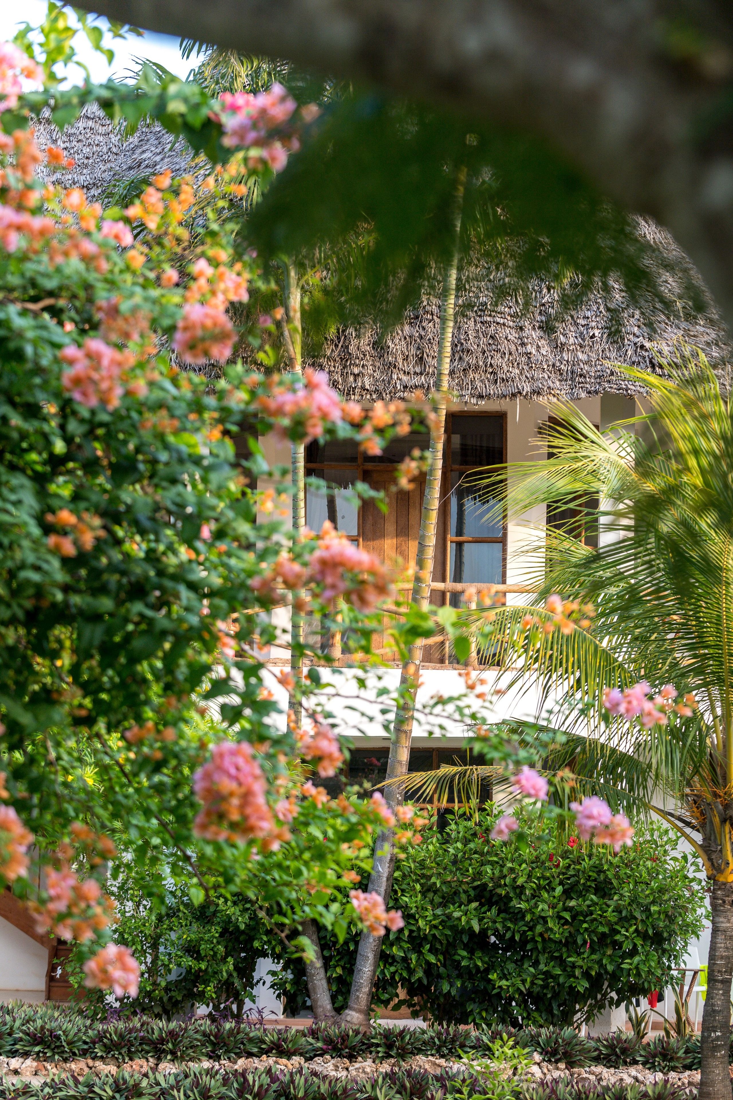 superior room | 1 bedroom, in-room safe, individually decorated, individually furnished