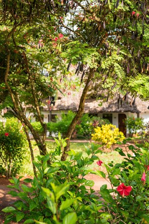A lush garden with a thatched-roof building, surrounded by dense foliage and vibrant flowers.