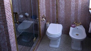Ein Badezimmer mit Duschkabine, Toilette und Bidet.