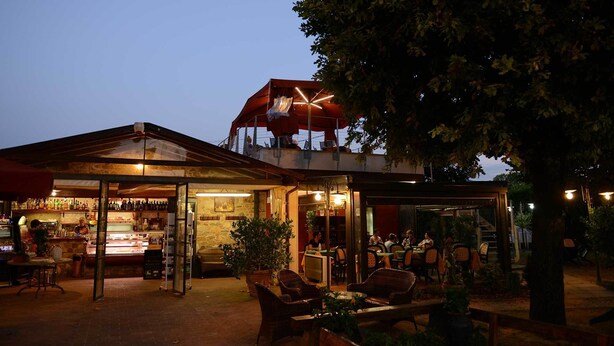 Un'area bar all'aperto con posti a sedere e un bancone, circondata da piante in vaso e alberi.