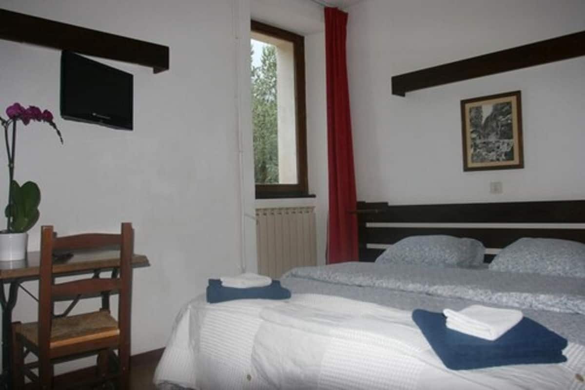 Een slaapkamer met een bed, een stoel, een kamerplant, een raam, een schilderij en een televisie.