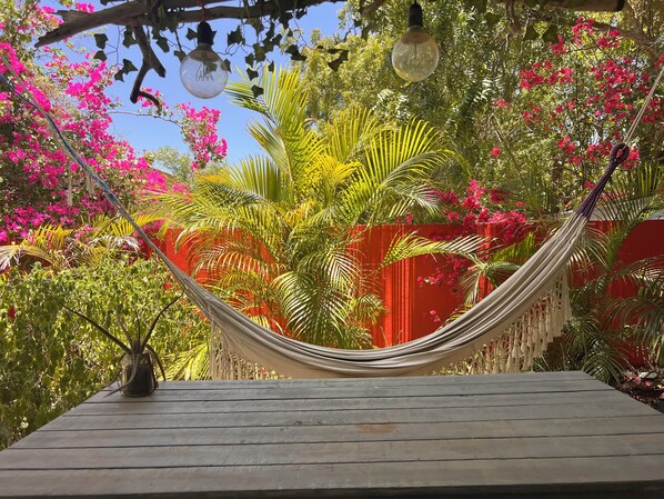 Standard Studio, 1 King Bed, Pool View, Poolside | Terrace/patio - Tropical Breeze Apartments (Willemstad)