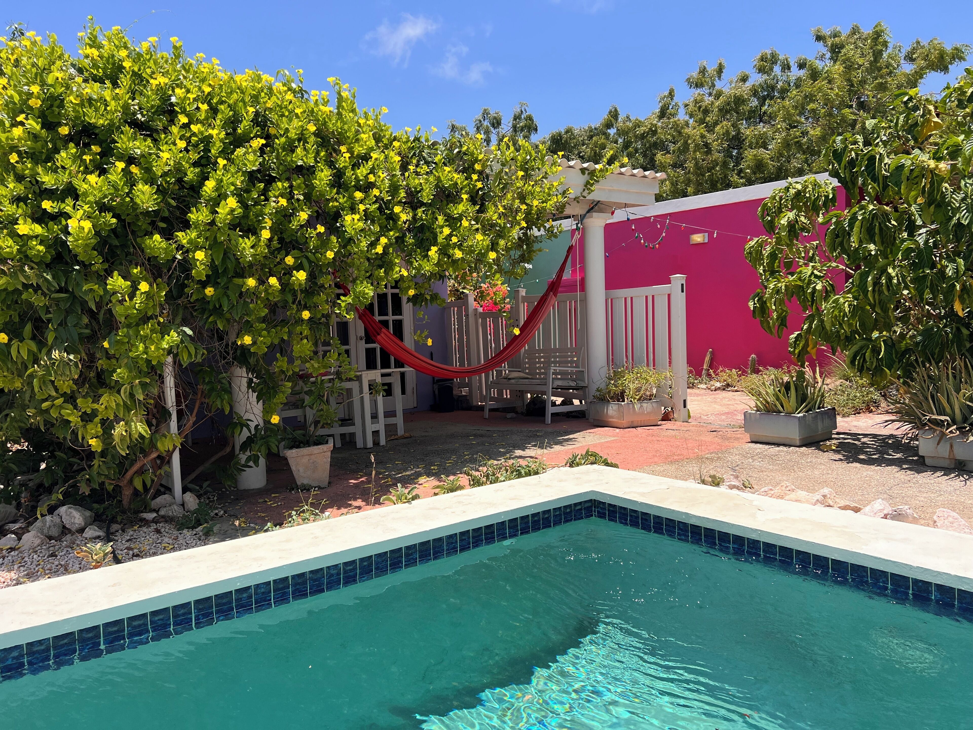 A swimming pool with a tiled edge, surrounded by potted plants and a hammock.