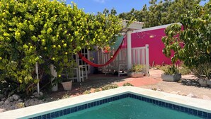 A swimming pool with a tiled edge, surrounded by potted plants and a hammock. - Tropical Breeze Apartments (Willemstad)
