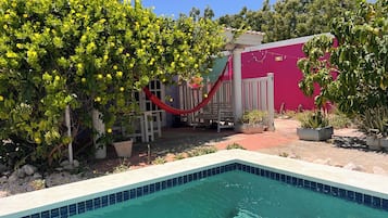A swimming pool with a tiled edge, surrounded by potted plants and a hammock.