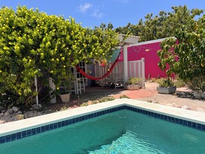 Una piscina con borde de azulejos, rodeada de plantas en macetas y una hamaca.