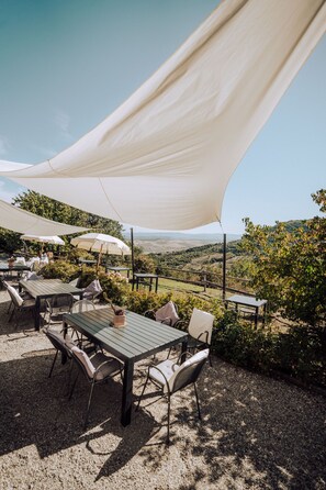 Restaurant - Agriturismo Le Valli (Casciana Terme Lari)