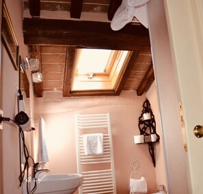 Bathroom features a skylight, sink, and towel rack.